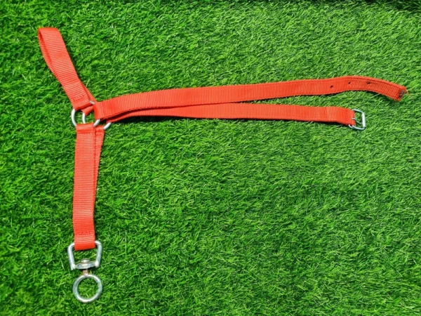 Cow Halter - Image 2