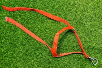 Cow Halter