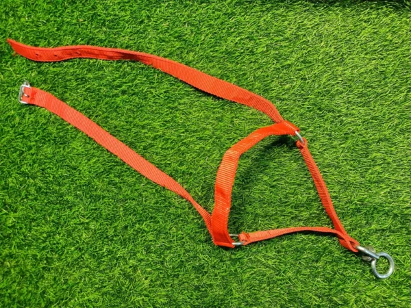 Cow Halter