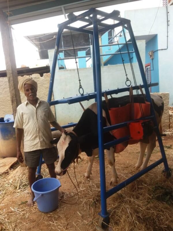 cow lifting machine - Image 2