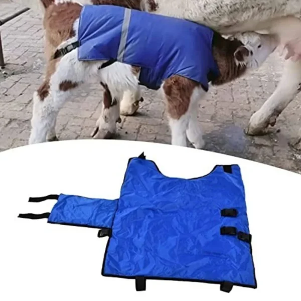 Cow Blanket - Image 3