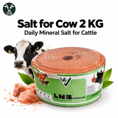 Salt for Cow 2 KG – Daily Mineral Salt for Cattle