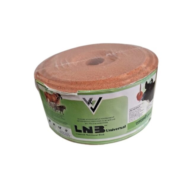 sALT - 2KG
