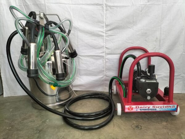 milking machine D.s queen